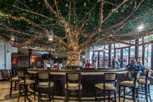 The Emerald Tree Lounge